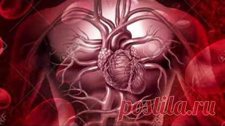 Анализы Крови: показатели ГОМЕОСТАЗА (лейкоциты/нейтрофилы/эритроциты/гемоглобин/СОЭ и др.)