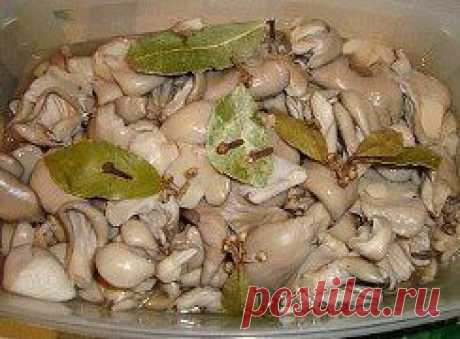 маринованые вешенки