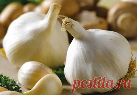 Какие продукты очищают печень