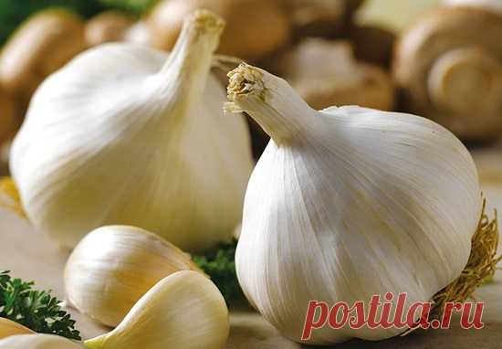 Какие продукты очищают печень