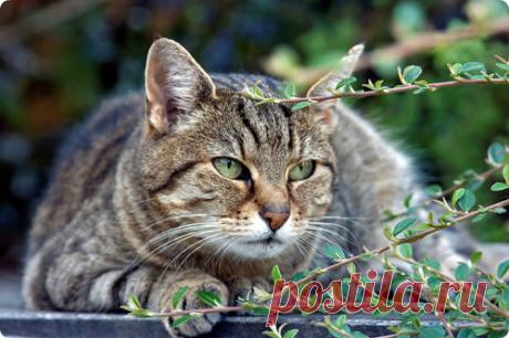 Мой Мир@Mail.Ru