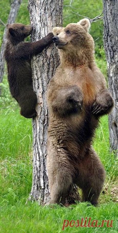 Pinterest • Всемирный каталог идей