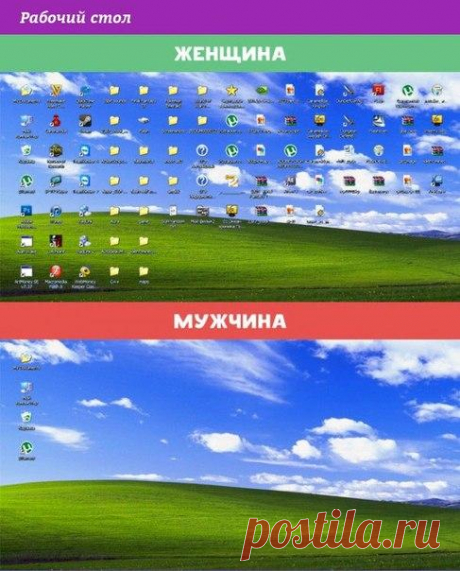 10 отличий женщин от мужчин