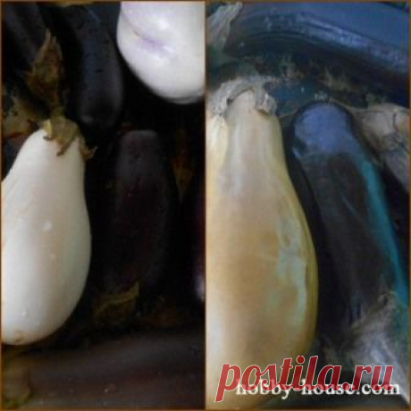 Икра из печеных баклажан - заготовки на зиму