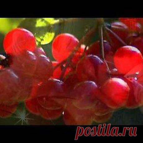 Интересные новости