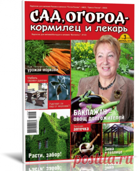 Читать журнал Сад, огород – кормилец и лекарь №3 2011 бесплатно - полная версия.