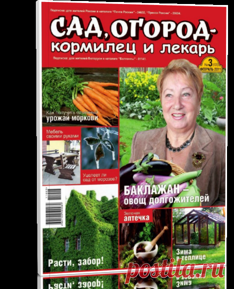 Читать журнал Сад, огород – кормилец и лекарь №3 2011 бесплатно - полная версия.
