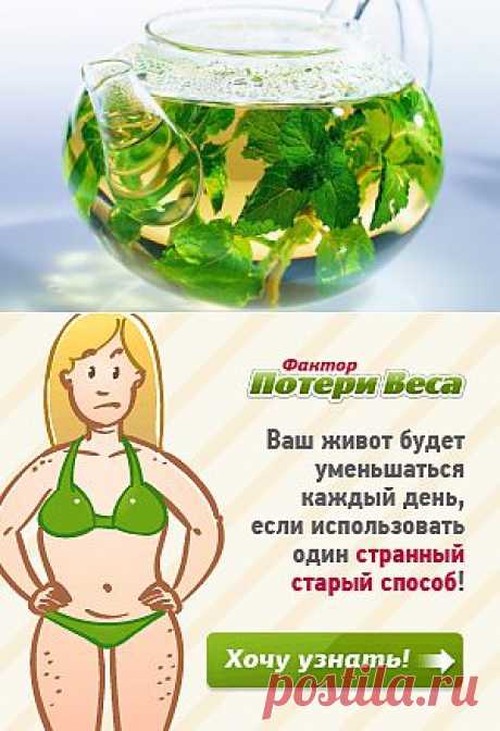 Как эффективно бороться с аппетитом?