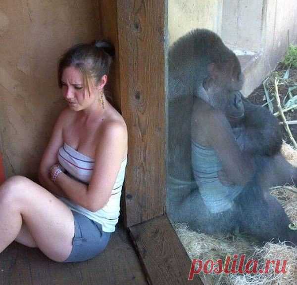 Посорились