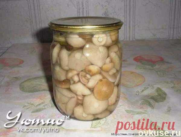 Маринованые грибы