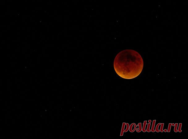 Автор фото: Анна Куманцова.  |  «Кровавая Суперлуна»: какой ее увидели жители Земли — National Geographic Россия