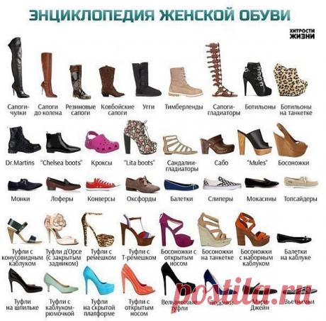 Группа: Хитрости жизни