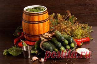Солим, маринуем. Три рецепта консервированных огурцов от профессионала