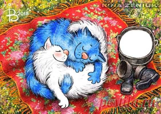 (577) Pinterest