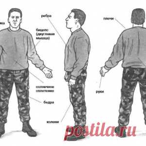 Уязвимые точки человеческого тела. Туловище - МирТесен