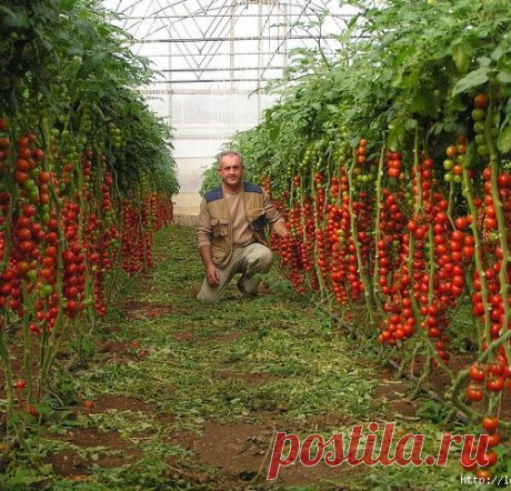10 секретов садоводов