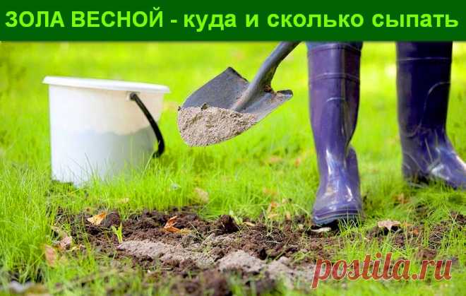 Зола весной – куда и сколько сыпать &raquo; Женский Мир