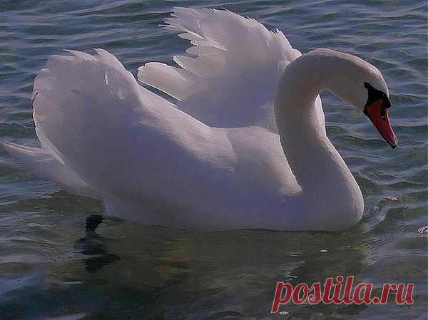 Мой Мир@Mail.Ru