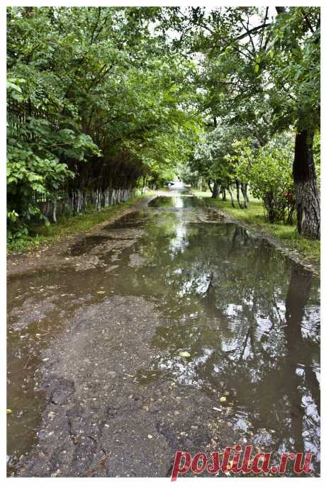 После грозы