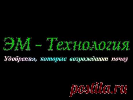 Как самостоятельно приготовить ЭМ препараты несколько рецептов