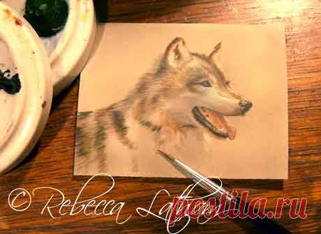 Акварельная миниатюра на античной слоновой кости | Картины дикой природы и природы Ребекки Лэтэм