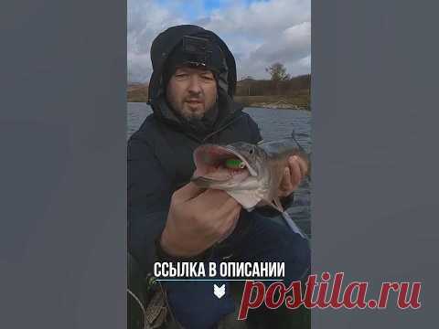 ЩУКА КИДАЕТСЯ на НЕГО как СУМАШЕДШАЯ! ЛУЧШИЙ ВОБЛЕР-РАЗВЕДЧИК СЕЗОНА! 🔥👍🔥 #shorts #рыбалка #воблер Отличный воблер-разведчик DW76 от TSURINOYA. Позволяет делать достаточно быстрые и эффективные проводки для облова больших зон. Обладает дальним забросом для...