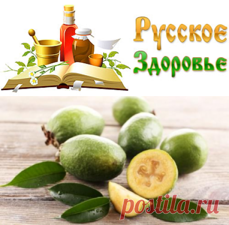 Фeйхоа- какую пользу cкpываeт ягода