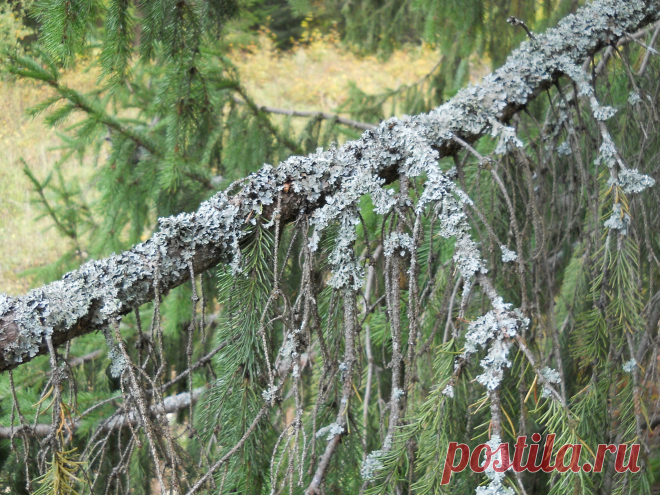 мир - 51 фото. Фотографии Сергей Мартынов.