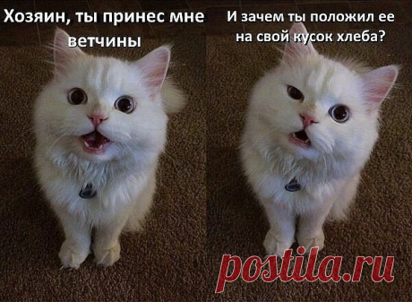 Интересные новости