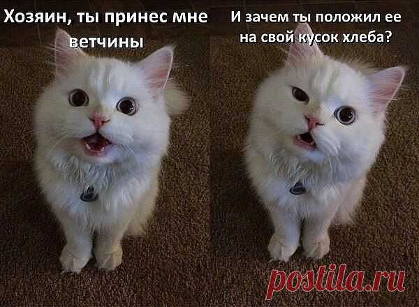 Интересные новости