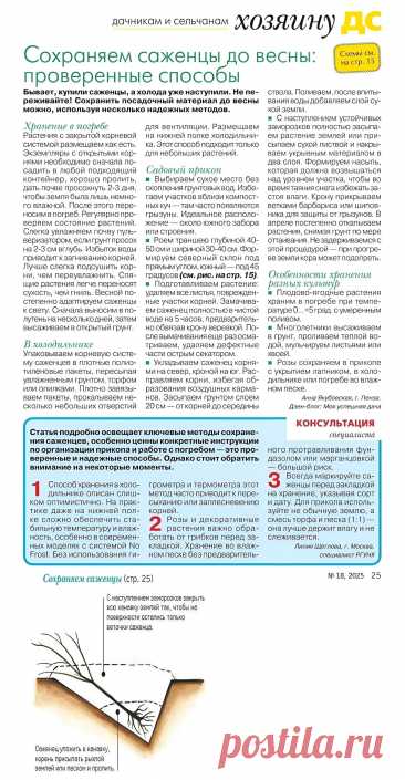 Сохраняем саженцы до весны