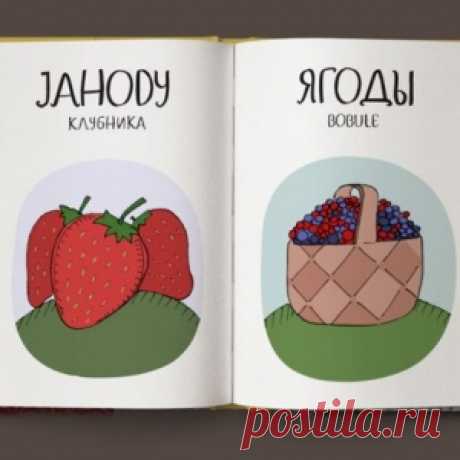 Юморной чешско-русский словарик.