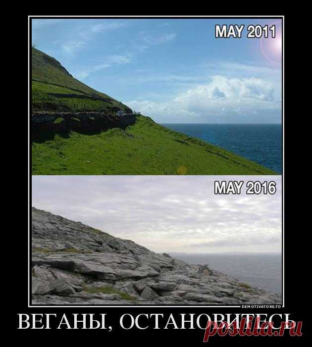 Диалоги