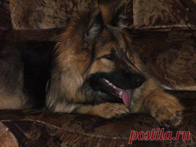 Одноклассники