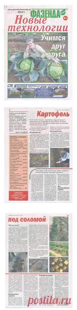 Фазенда. Новые технологии 2014.