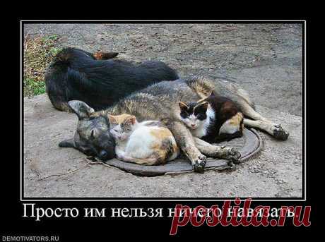 ббб