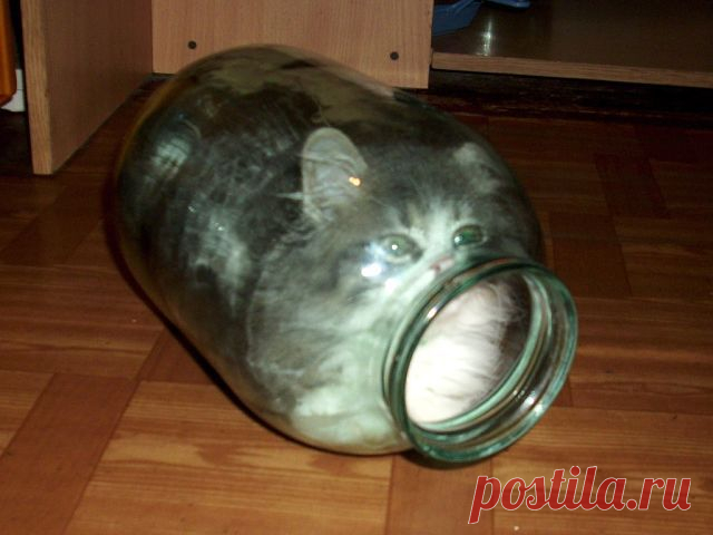 (27) Одноклассники