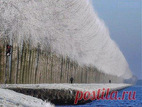 Зимний пейзаж в Грабовице,Сербия.