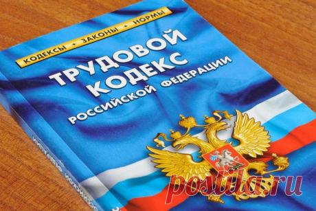 Статьи Трудового кодекса, которые должен знать каждый | Выживи сам