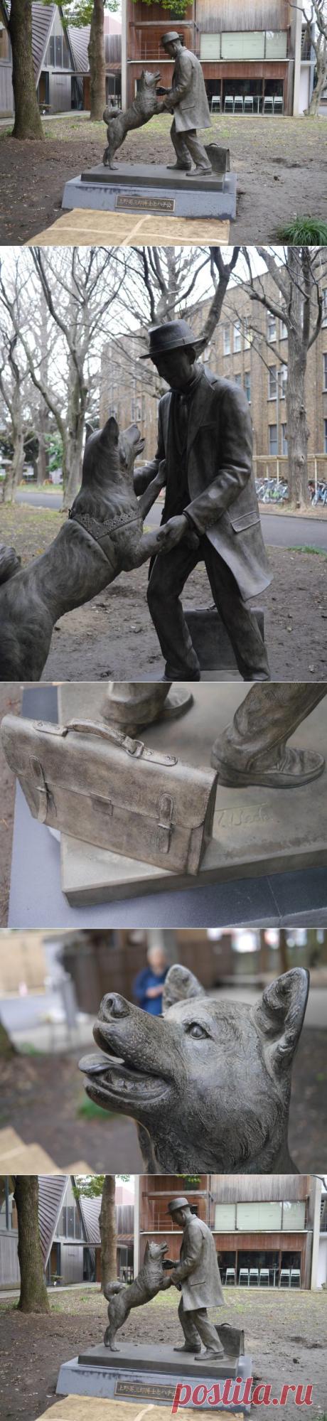 Hachiko’s new statue is now open to the public, and we’ve got pictures and video from our visit | RocketNews24