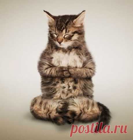 Учись сохранять свою энергию. 

1. Отпускайте людей и ситуации. 
Не прокручивайте возможные варианты событий. Случилось так, как случилось. Когда сложно отпустить, задавайте два вопроса: 
«Будет ли это важно для меня через 5 лет?», 
«Сегодня вечером я вылетаю в Буэнос-Айрес (любое место, которое очень хотите посетить), возьму ли я эту проблему с собой?» 

2. В конце каждой недели отвечайте на вопросы: 
«Что я изучил на прошлой неделе?» 
«Самое большое достижение за неделю?...