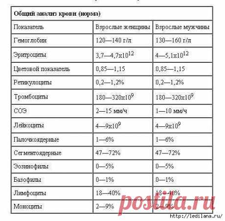 Учимся понимать свои анализы