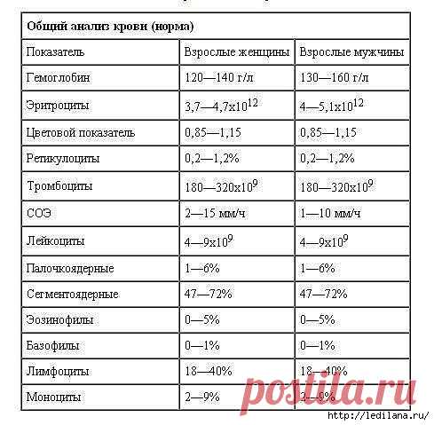 Учимся понимать свои анализы