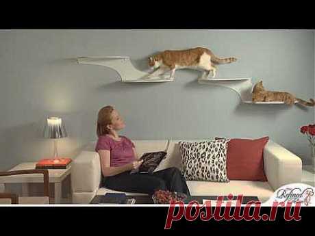 The Refined Feline Cat Furniture Showcase - YouTube