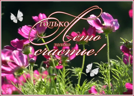 Оригинальная открытка яркого лета