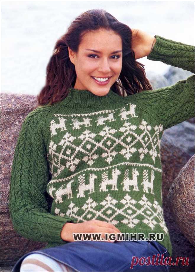 Зелено-белый пуловер с норвежскими узорами и косами. Спицы