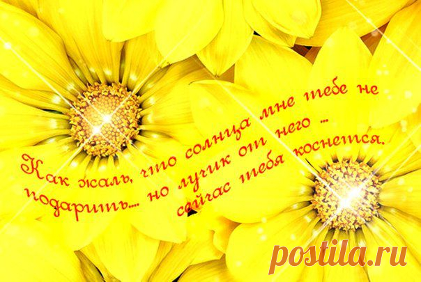 Сказка о золотом лучике. памяти миши (Ирина Бабкина) / Проза.ру - национальный сервер современной прозы