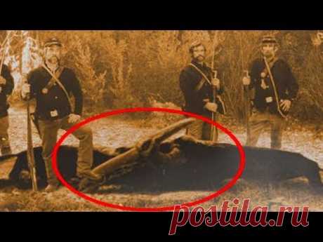10 САМЫХ БОЛЬШИХ ЗАГАДОК В ИСТОРИИ
