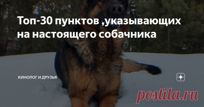 Топ-30 пунктов ,указывающих на настоящего собачника Статья автора «Кинологиня и её озорная семейка» в Дзене ✍: В нашей статье мы приведём основные пункты,выдающие настоящего собачника. Пишите в комментариях, какие пункты Вы выполняете🐶🤔