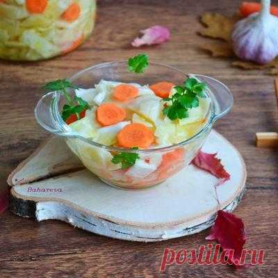 Капуста 